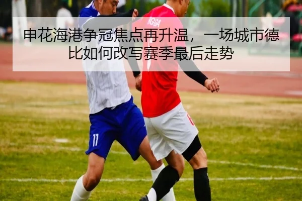 img_1782284765279_28_2_782.jpg